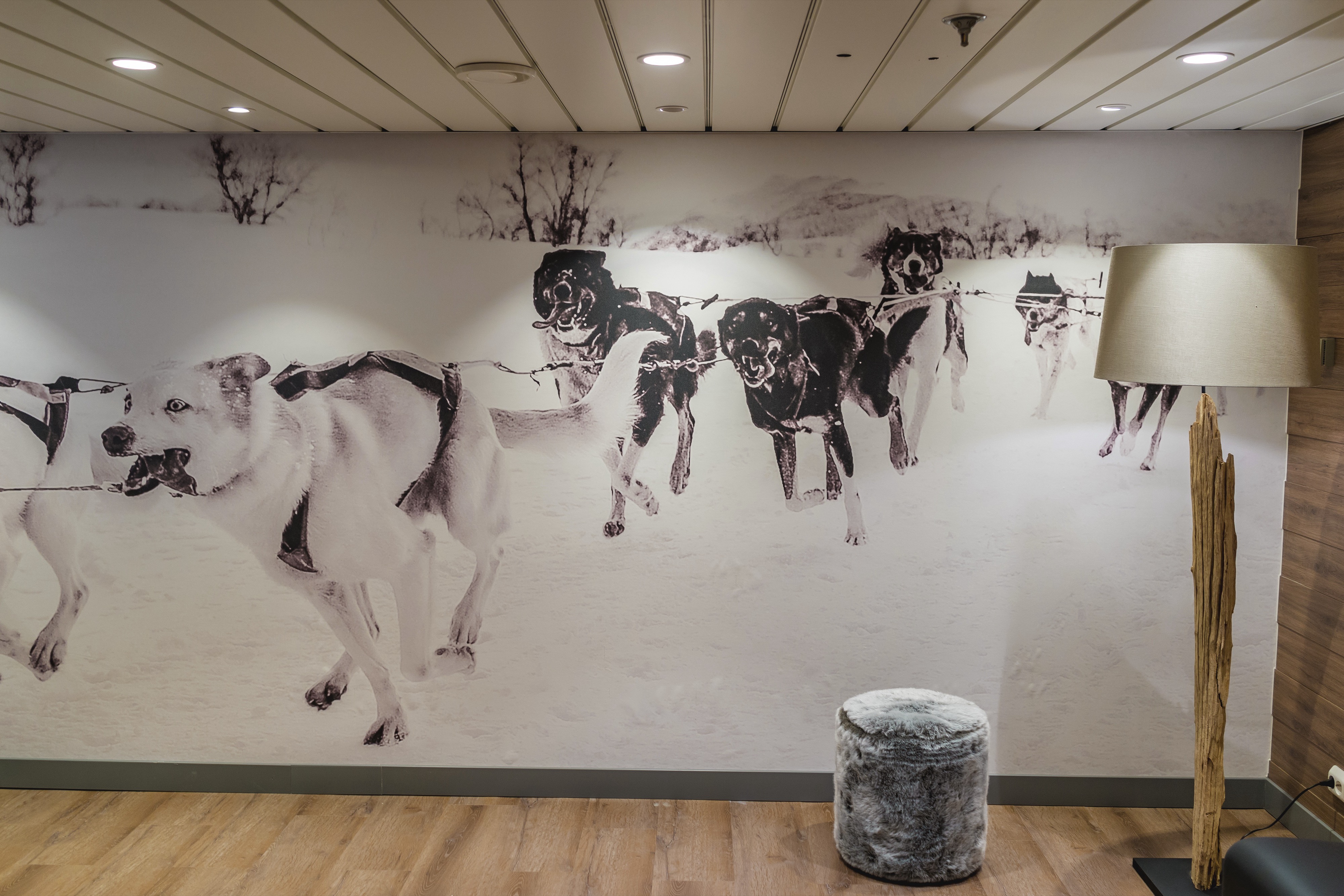 MS Polarlys - Reception